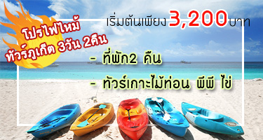 โปรไฟไหม้