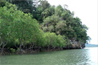 ทัวร์กระบี่ล่องแคนนู อ่าวท่าเลน (จากกระบี่)