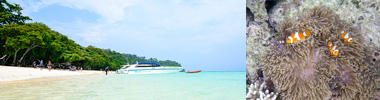 โปรแกรมทัวร์เกาะรอก จากภูเก็ต(Rok Island) by Speed Boat