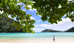 ทัวร์เกาะสุรินทร์ ทัวร์เกาะสุรินท์ (สปีดโบ๊ท)