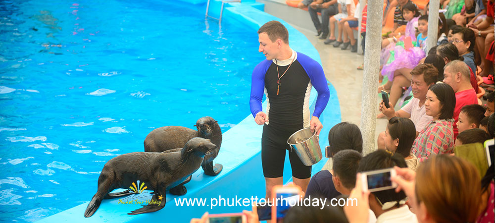 โชว์ปลาโลมาภูเก็ต Phuket Dolphin Show 1 วัน ราคาถูก