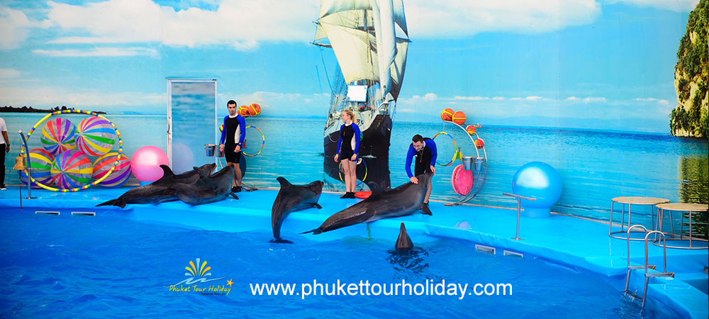โชว์ปลาโลมาภูเก็ต Phuket Dolphin Show 1 วัน ราคาถูก
