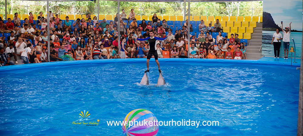 โชว์ปลาโลมาภูเก็ต Phuket Dolphin Show 1 วัน ราคาถูก