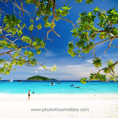 ทัวร์เกาะสิมิลัน 1 วัน